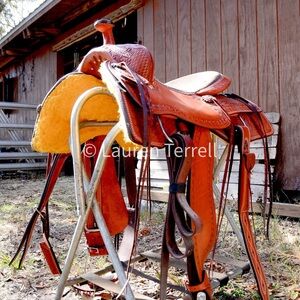 Silver Royal Ranch Saddle Brand New